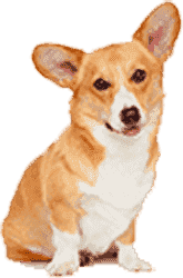 免费ddos压力测试平台